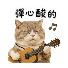 《貓貓の日常失控中》