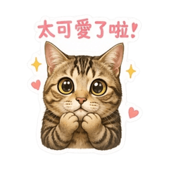 可愛姆姆貓_1
