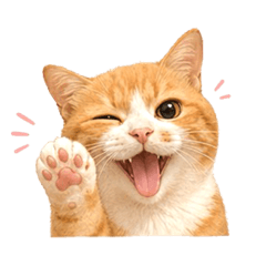 吉兒說：