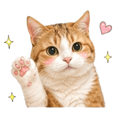 冬冬說：