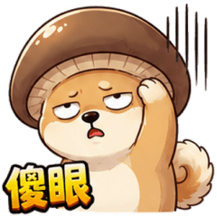 柴犬菇狗：情緒大爆發