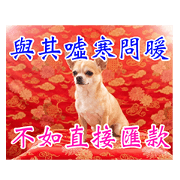 Greetings from Chihuahua 3 - Phrases
