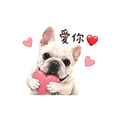 Doujiangdaily