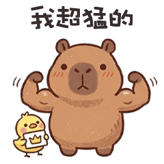 cute tiny capybara7L