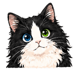 Lovely Cute Odd-Eyed Cat Stickers