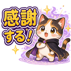 中二病の可愛い三毛猫