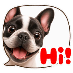 Polite Frenchie Speech Bubble EN