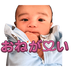 eri_20260609213857