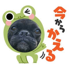 chirumi_20260617233841