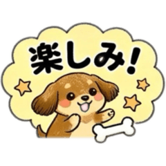 every day with my dachshund_Tanchoko