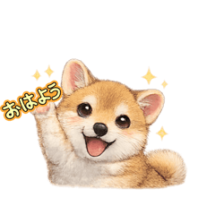 PET SEEYOUAGAIN_20260618144531