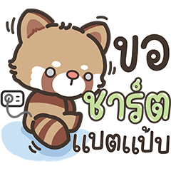 Kuri Red panda : Working days