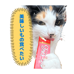 Yuka_20260605201837