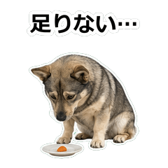 狗狗真心話 99TH