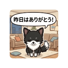 shunachiwa_20260605205621