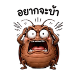 Chubby chub cockroach