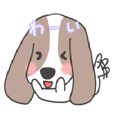 Cute Basset Hound