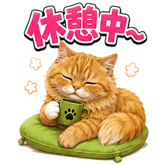Cat_ARARE