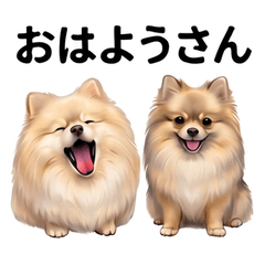 HakuMiku pome
