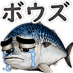 Annoying eyebrows Real mackerel Fishing