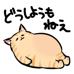 ぽちゃぽちゃねこさん