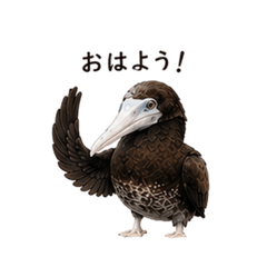 Booby Bird Greetings Stickers