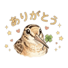 piyozou_20260605214242