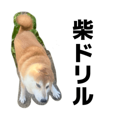 sorakun no nanigenai nichijyo