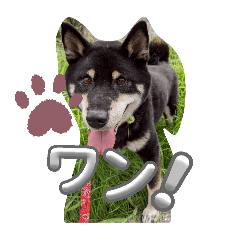 mj_20260607095437