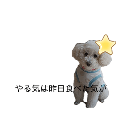 R wan wan_20260607102741