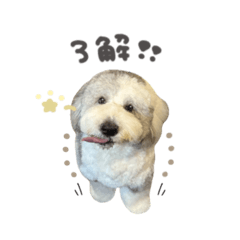 ムックくん☆Standard