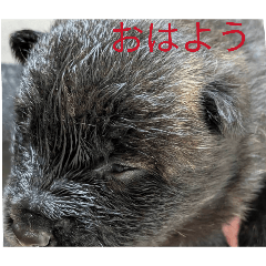 satomi436oka_20260607105031
