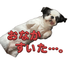 Kotarou series5