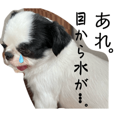 Kotarou series6