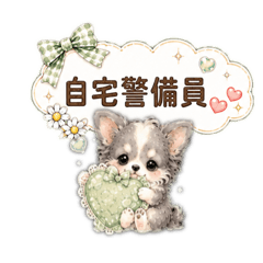♡メロンソーダ日和♡可愛いちわわ日常♡