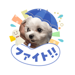 hisae_2026060714051