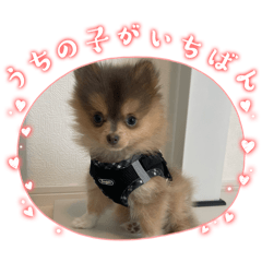 yukako_20260607143042