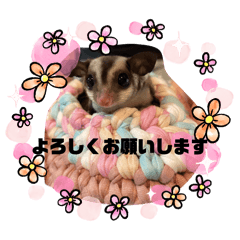 momo_20260607144533