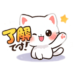 tanukiti_20260607162312