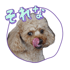 AZKmm_20260607163127