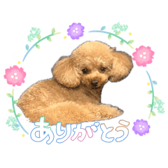 AZKmm_20260607163605