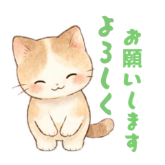 notch_20260607165556