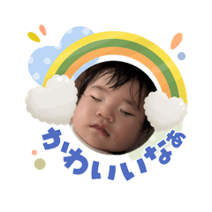 MOMOtan6