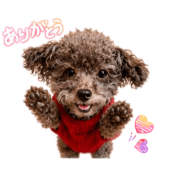 achi_20260607181941