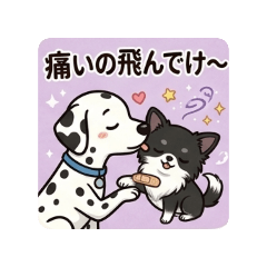 shunachiwa_20260607183342