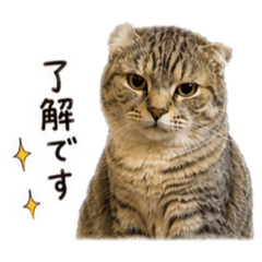 JiJi_cute