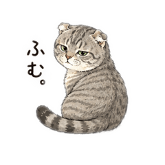 JiJi.cute