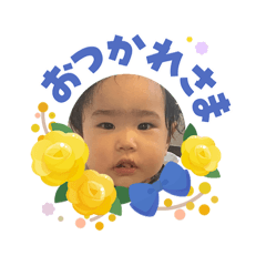 koy_20260607193940