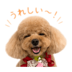 IZUMI_20260607194125