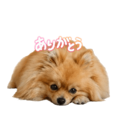 ken_20260607201322